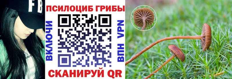 где найти наркотики  Межгорье  Галлюциногенные грибы Psilocybe 